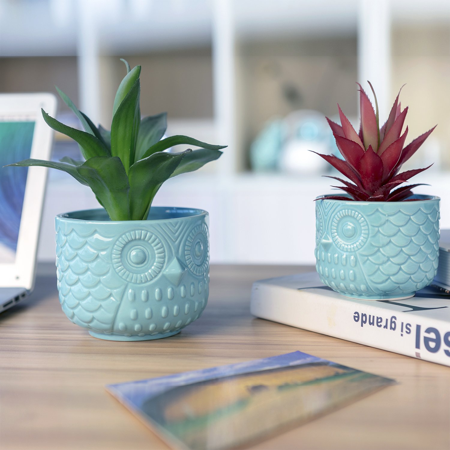 Nattol Owl Succulent Planter, Turquoise Animal Ceramic Planter Pots with Drainage, Set of 2 - Image 3