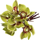 AwnsIMfreien 6Pcs Cymbidium Orchid 10 Inch Lifelike Green Color Orchid with Long DIY Friendly Decorative Silk Flowers for Arrangement, Wedding, Party