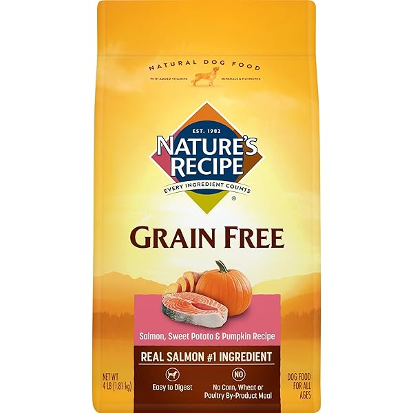 NATURE’S RECIPE GRAIN FREE EASY TO DIGEST DRY DOG FOOD, SALMON, SWEET POTATO & PUMPKIN RECIPE, 4-POUND