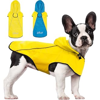 Amazon Best Sellers: Best Dog Raincoats