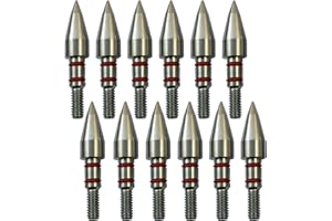 888 TIAN LUN 100/125/150/175/200 Grains Stainless Steel Archery Field Points, Arrow Target Field Points in Archery Field Tips and Broadheads 1 Dozen 12 PCS (T 5/16″-100grains)