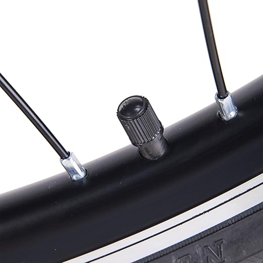 pinty electric bike kit