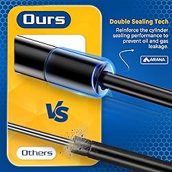 ARANA Trunk Struts for Lexus LS430 2001-2006, Rear