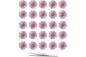 60Pcs Purple Dried Daisy Pressed Flowers - YouthBro 60Pcs Real Nature Flowers Set for Resin DIY Jewelry Candle Soap Vase Making Nail Card Scrapbook Art Craft Floral Decors