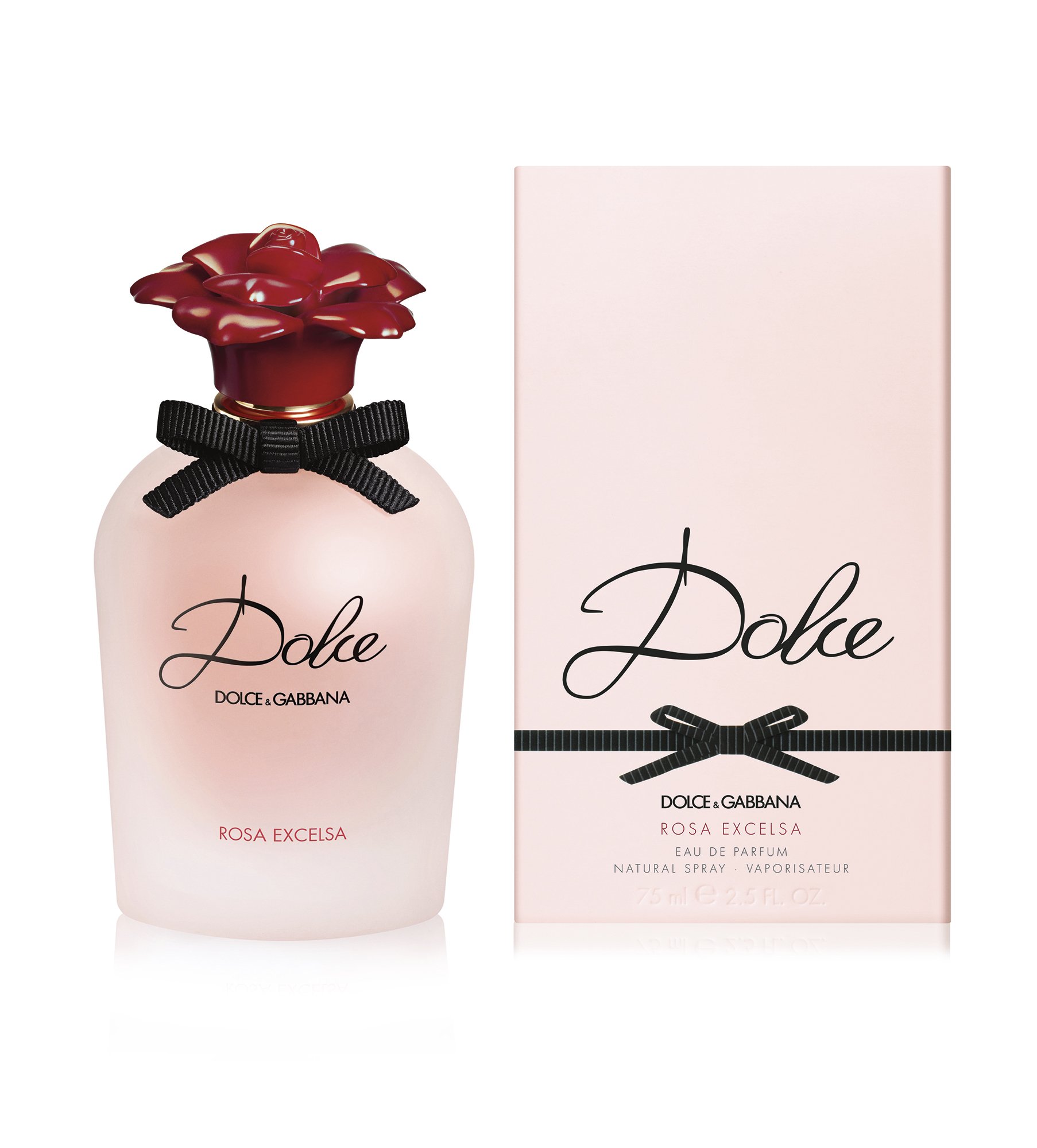 dolce and gabbana garden review