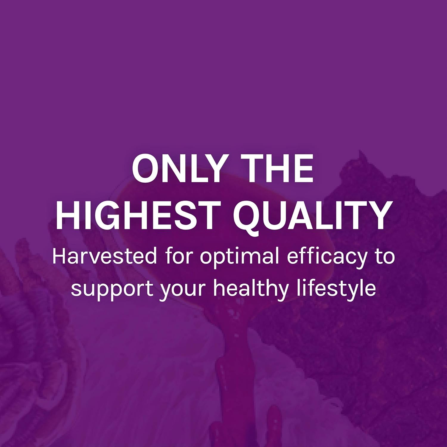 Host Defense, MyCommunity Capsules, Advanced Immune Support, Mushroom Supplement with Lion’s Mane, Reishi, Vegan, Organic, 30 Capsules (15 Servings): Health & Personal Care