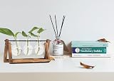 Hyindoor Propagation Station with Vintage Wooden Stand and Glass Vases view 4