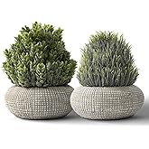 PENGYEE 2 Pack Small Fake Plants in Cement Planter for Bathroom Decor, 6.1/5.7 Inch Artificial Plants Indoor, Small Faux Plants Indoor for Home Room Bedroom Farmhouse Kitchen Office Decor