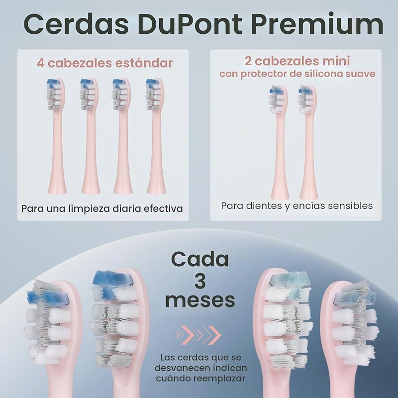 Cepillo de dientes eléctrico Sonic para adultos, cepillo dientes recargable rosa con estación carga USB, 5 modos de limpieza, 3 intensidades, temporizador inteligente 2 minutos, QR-7303