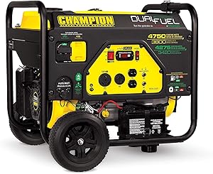 Champion 3800-Watt Dual Fuel RV Ready Portable Generator with Electric Start (Pack of 1)