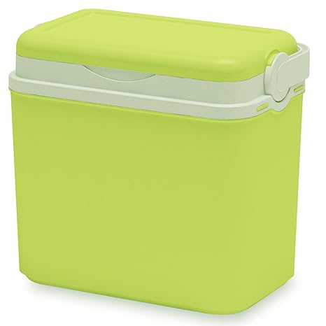 Nevera portátil 10 L 30 x 19 x 28 cm, 6 x 0,5 Uni Colores, limas ...