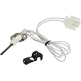 Hayward FDXLIGN1930 FD Ignitor Replacement Kit for Hayward Universal H-Series Low Nox Pool Heater