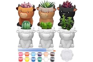 Beeveer 6 Pcs Ready to Paint Your Own Highland Cow Succulent Ceramic Pots Unpainted Ceramics Cartoon Cow Shaped Flower Pots DIY Kit Planter Container with Drainage Hole for Home and Office Decoration