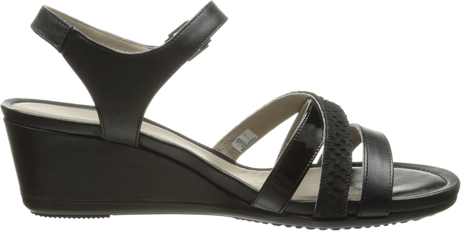 ecco xpedition ii price