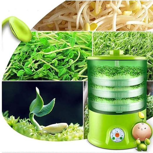 Automatic Sprouter Machine, Bean Sprouts Machine with
