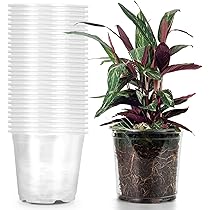 1LDK & NO COFFEE .blnk PLASTIC POT セット 1LDK & NO COFFEE