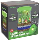 Light-Up Terrarium Kit for Kids - STEM Activities Science Craft Kits - Kids Crafts Gifts for Kids - Educational Kids Toys - A