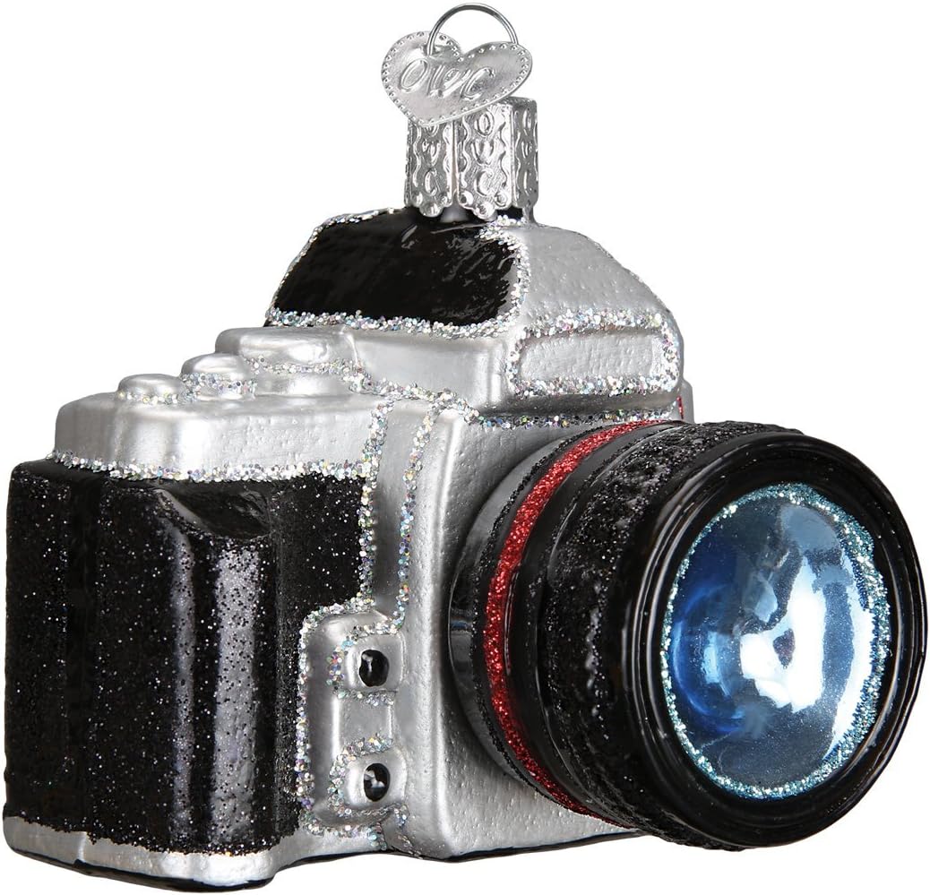 Ornaments - Old World Christmas Ornaments: Hobbies Gifts Glass Blown Ornaments for Christmas Tree, Camera, 32227