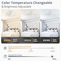 LEDIARY 20" Modern Ceiling Fans with Lights and