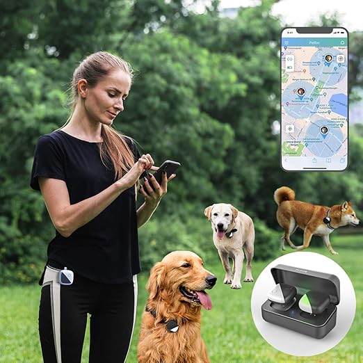 dog gps tracker no monthly fee