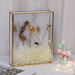JUXYES 8x10 inches Gold Shadow Box Frame Display