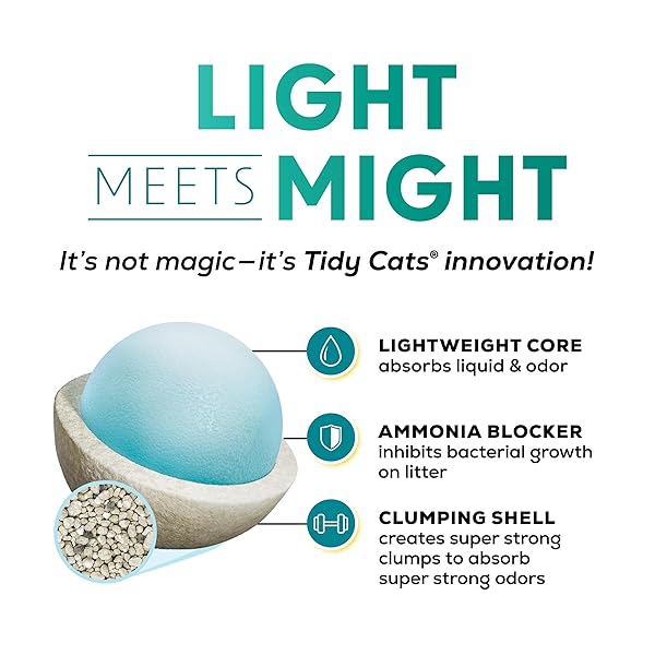 PURINA TIDY CATS LIGHTWEIGHT FREE AND CLEAN UNSCENTED, MULTI-CAT, CLUMPING, 99.9 PERCENT DUST FREE CAT LITTER – 17 LB. BOX