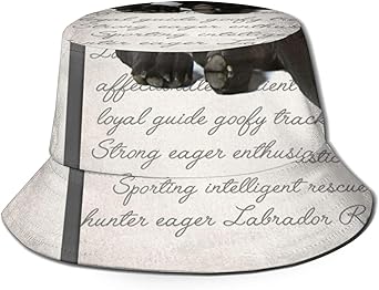 GMGMJ Sonnenhut mit schwarzem Panel, verstellbar, faltbar, für Imkerei