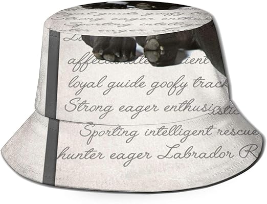 GMGMJ Sonnenhut mit schwarzem Panel, verstellbar, faltbar, für Imkerei