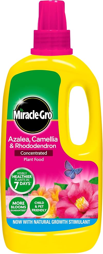 Miracle-Gro Azalea Camellia Rhododendron Liquid Plant Food 1 Litre