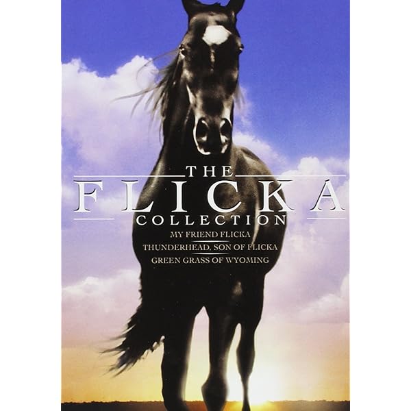 Amazon.com: Misty [DVD] : James B. Clark, David Ladd, Arthur