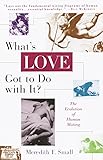 What's Love Got to Do with It?: The Evolution of Human Mating