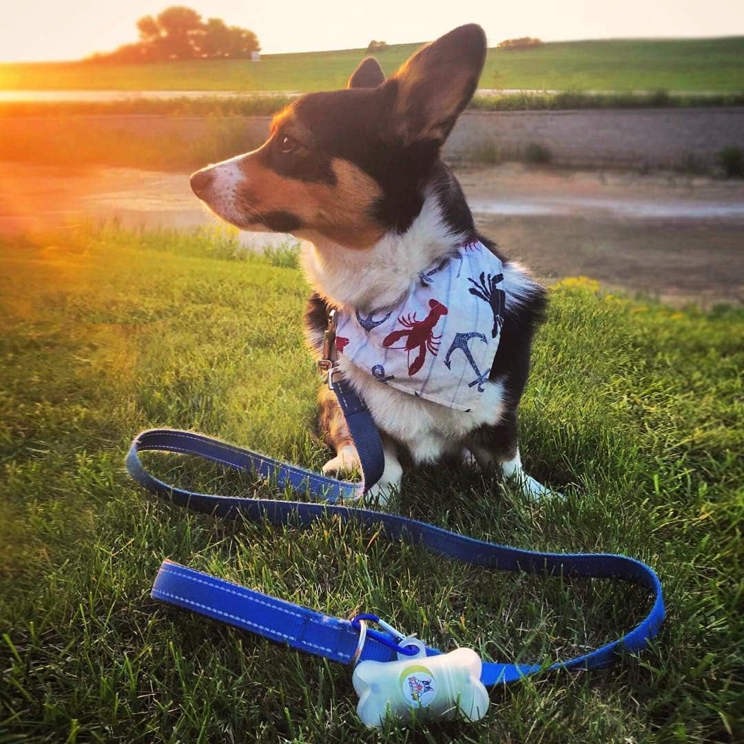 Pogi's Poop Bag Dispenser - Includes 1 Roll (15 Dog Poop Bags) - Scented, Leak-Proof, Earth-Friendly Poop Bags for Dogs : Pet Supplies