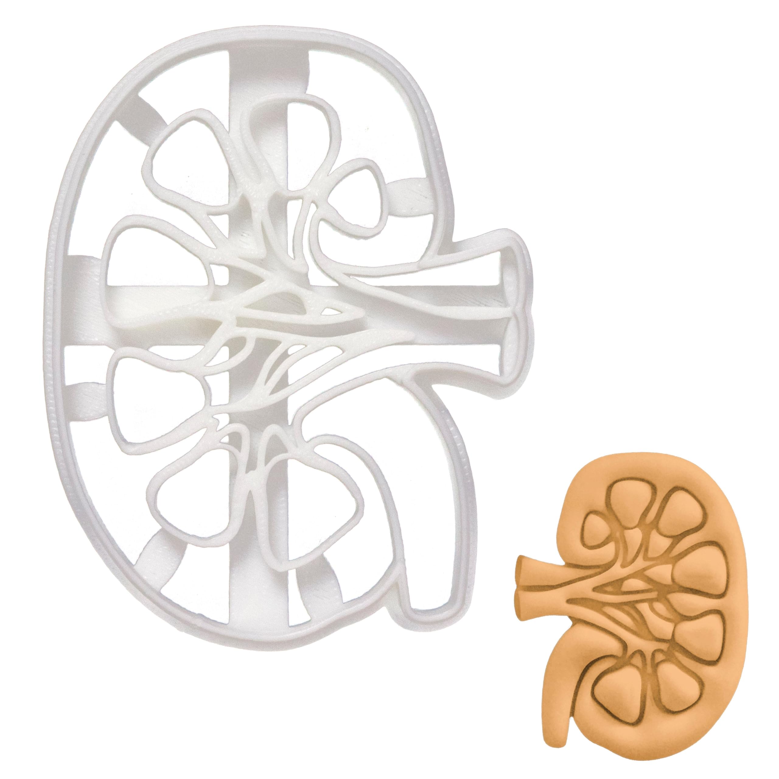 BAKERLOGY Internal Kidney Cookie Cutter - Detailed Biscuit Cutter Design for Baking and Crafts, Ideal on Fondant, Dough, Clay