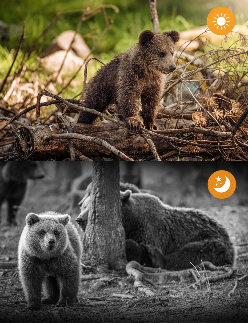 Suntekcam Trail Camera 24MP 1080P Hunting Game Camera for Wildlife Monitoring with 2.4" LCD 120° Detection Motion Activated Night Vision Camera -16GB SD Card: Electronics