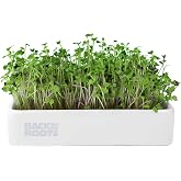 Back to the Roots Organic Microgreens Grow Kit with Ceramic Planter, Expandable Soil, Organic Seeds, and Germination Lid