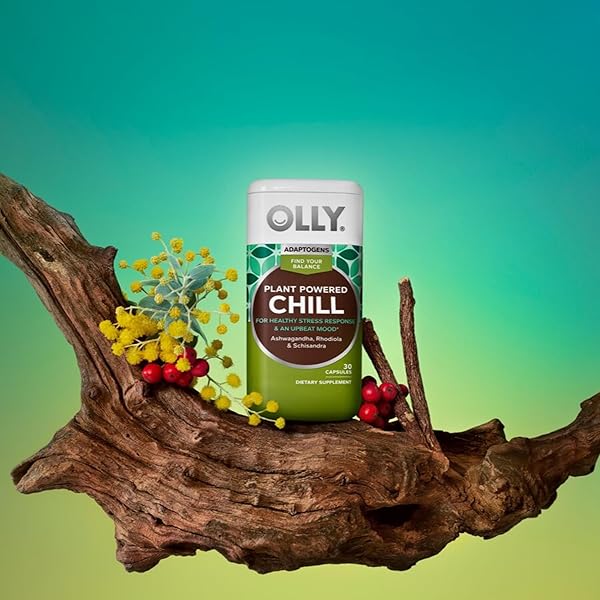 OLLY CHILL ADAPTOGEN, ASHWAGANDHA, MOOD SUPPORT SUPPLEMENT WITH RHODIOLA ROOT, VEGETARIAN CAPSULES – 30CT