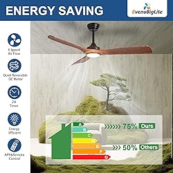 BvenuBigLite Outdoor Ceiling Fan with Light: 52