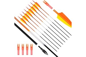 ARCHERY SHARLY 31Inch Carbon Arrow, Practice Hunting Arrows with Turkey Feathers for Recurve & Compound Bow, Arrows with Remo