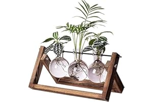 Kingbuy Plant Terrarium Propagation Station - 3 Glass Bulb Vases with Retro Wooden Stand Boho Desktop Planter for Hydroponics Home Garden Indoor Home Office Decor Unique Gifts for Women & Plant Lovers