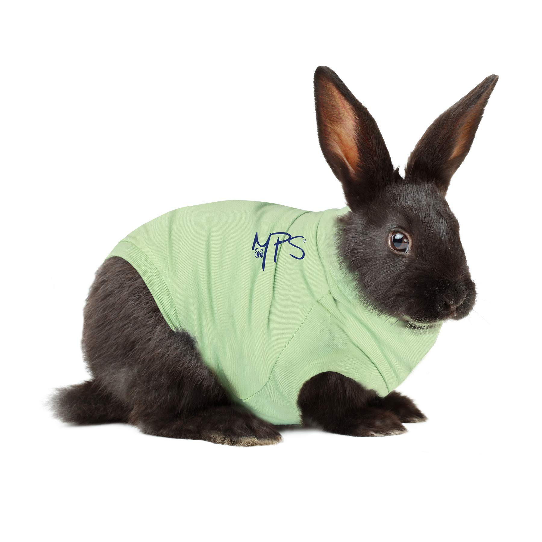 MPS Medical Pet Shirt Rabbit, Surgery Recovery Suit, Green, Large