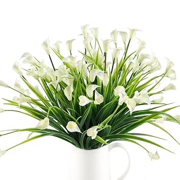 Plantes Dintérieur Rhoeo Commelynacees Chezmamielucette