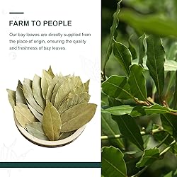 Soeos Bay Leaves Whole, 2 oz(57g), Non-GMO
