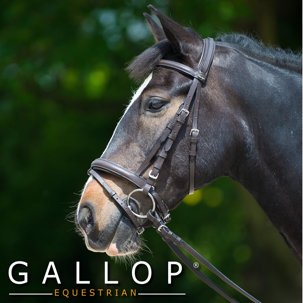Gallop Comfort Bridle And Rubber Reins Cob Brown Amazon Co Uk