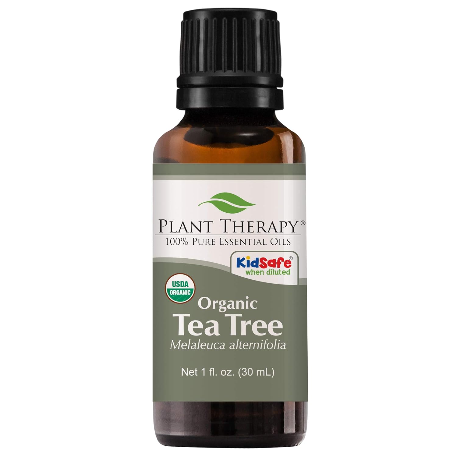 Plant Therapy Tea Tree Organic Essential Oil 100% Pure, USDA Certified Organic, Undiluted, Natural Aromatherapy, Therapeutic Grade 30 mL (1 oz): Beauty
