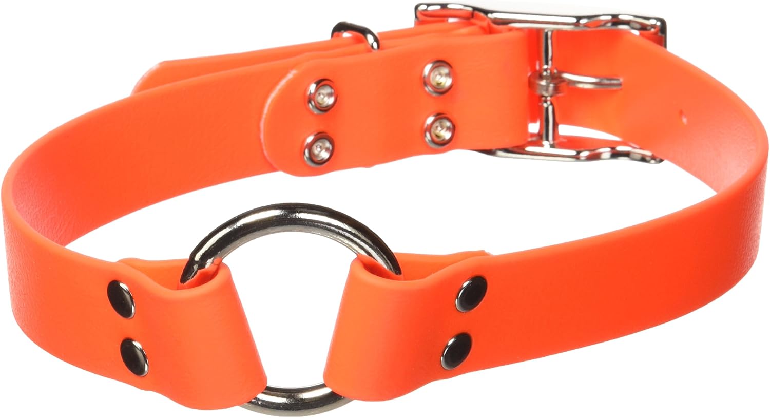 Coastal Remington Orange 1" by 22" Waterproof Dog Collar(R4905 G ORG22