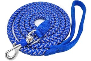 Mycicy Reflective Dog Leash 2ft 3ft 4ft 6ft 10ft, Heavy Duty Dog Leash Nylon Braided Strong Rope Dog Lead for Small Medium Large Dogs Walking Leash (Blue 6ft)