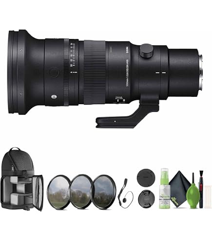 Amazon.com : 500mm F5.6 DGDN OS for Sony E Mount : Electronics