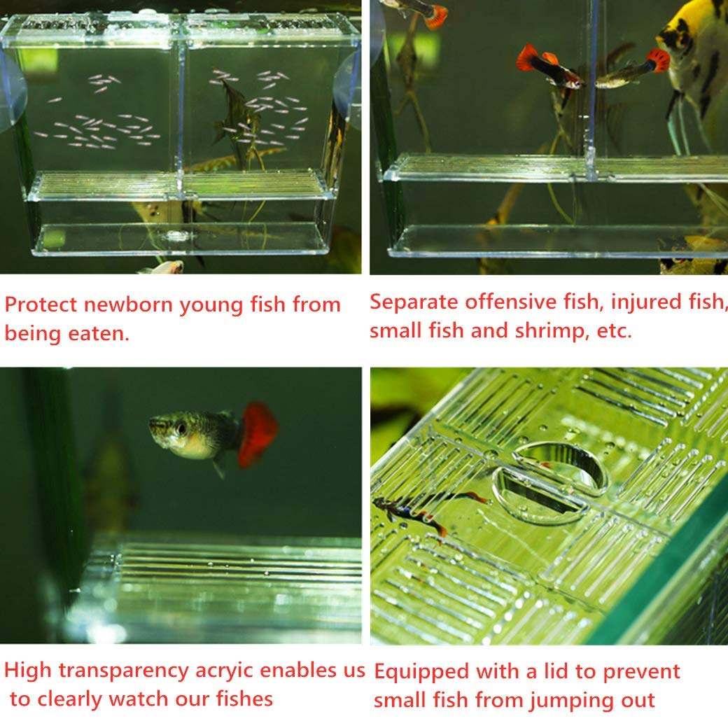 Aquarium Fish Tank Hatchery Breeder Box Breeding Tank, Baby Fish