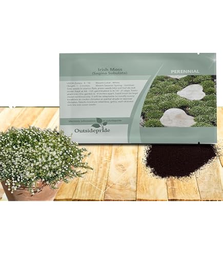 indoor planter pot with stand Indoor Vertical Plant Stand main image 0