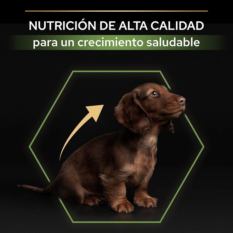 Small&Mini Puppy Start pienso perro Cachorro con calostro 8x700 g